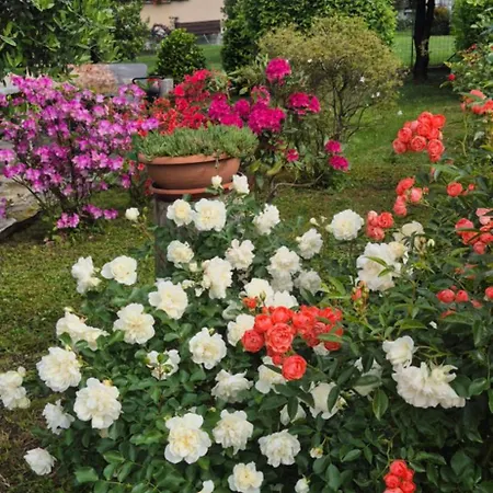 Holiday home Casa Geronimi San Cassiano (Sondrio)